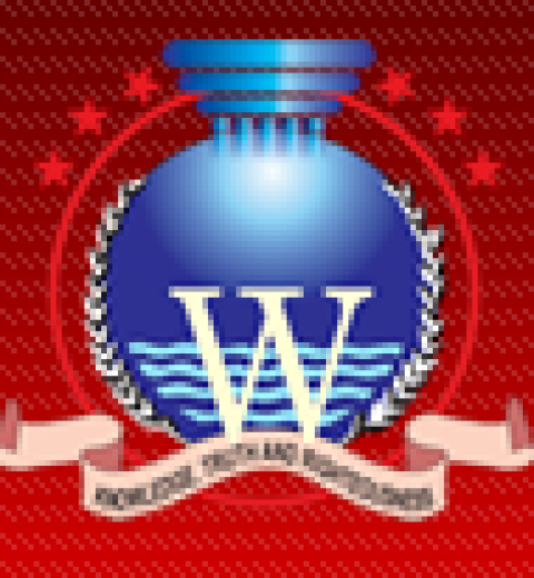 Wellspring University Degree Foundation Form 2015/2016