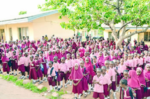 Educationist Wants Reproductive Health Subject Taught In Primary Schools