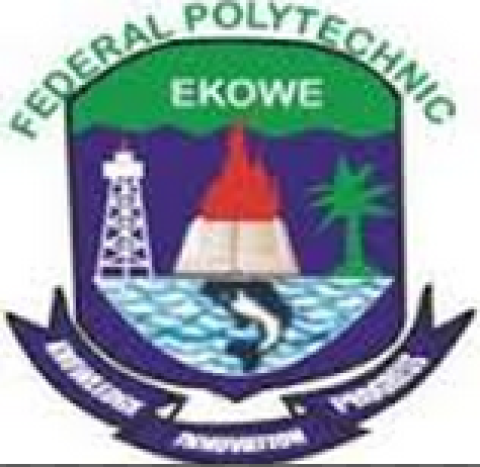 Dr Seiyaboh Idah Appointed Fed Poly Ekowe Rector