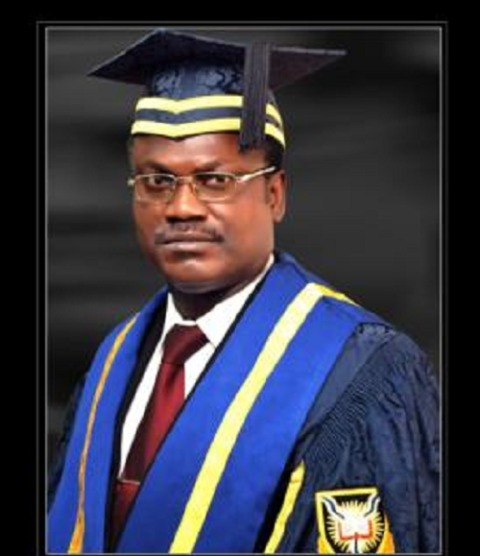 University of Ibadan Gets New Bursar