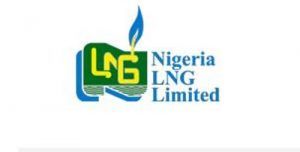 nlng nigeria prize science