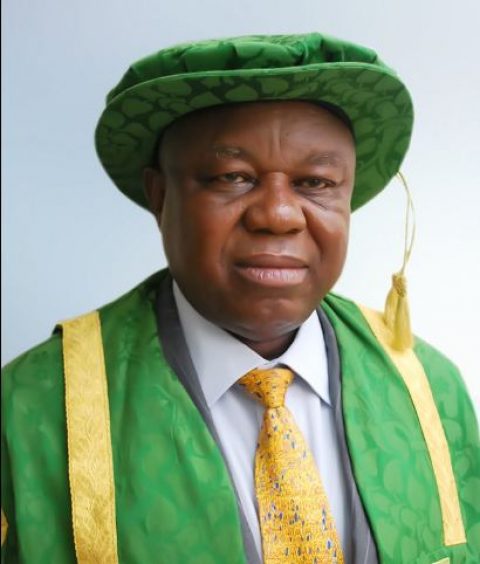Professor Charles Igwe Appointed New UNN Vice Chancellor